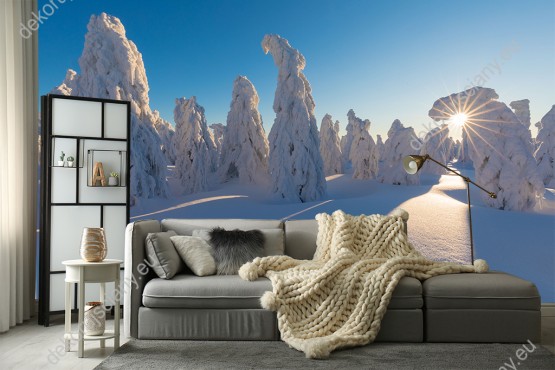Wizualizacja fototapety w zimowej aurze z ośnieżonymi drzewami w promieniach wschodzącego słońca. Fototapeta do pokoju dziennego, salonu, biura, gabinetu, sypialni, przedpokoju i jadalni.