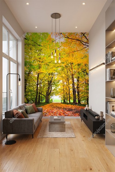 Wizualizacja fototapety z widokiem jesiennego lasu klonowego. Fototapeta przeznaczona do sypialni, salony, biura, gabinetu, pokoju młodzieżowego.