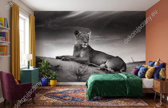 Wizualizacja fototapety do pokoju dziennego, dziecięcego, młodzieżowego, sypialni, salonu, przedpokoju oraz biura. Przedstawia lwicę odpoczywającą na pustynnej wydmie piaskowej.