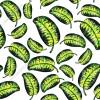 Wzornik tapety do pokoju dziennego, młodzieżowego, sypialni, salonu, przedpokoju, biura z motywem tropikalnym. Tapeta przedstawia zielone liście egzotycznych roślin, na białym tle.