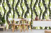 Wizualizacja tapety do pokoju dziennego, dziecięcego, młodzieżowego, sypialni, salonu, przedpokoju, biura. Wzór tapety przedstawia zielone, splątane pędy roślin, z  liśćmi.