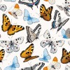 Wizualizacja tapety, różne gatunki kolorowych motyli. 