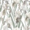 Wizualizacja tapety, malowane kwiaty irysy w odcieniach bieli i zielone liście. Tło białe.
