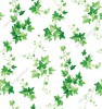 Wizualizacja tapety, zielone gałązki bluszczu na białym tle.
