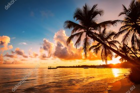 Wzornik fototapety z widokiem tropikalnej plaży i egzotycznych palm przy wodzie ozłoconej promieniami zachodzącego słońca na Dominikanie. Fototapeta do pokoju dziennego, sypialni, salonu, biura, gabinetu, przedpokoju i jadalni.