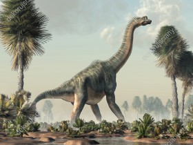 Wzornik fototapety do pokoju dziecięcego i młodzieżowego z motywem prehistorycznych dinozaurów. Na fototapecie brachiozaur stoi na mokradłach z okresu jurajskiego.