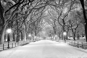 Wzornik fototapety w zimowej scenerii przedstawiająca aleje w Central Parku pokrytą śniegiem, USA. Fototapeta do pokoju dziennego, sypialni, salonu, biura, gabinetu, przedpokoju i jadalni.