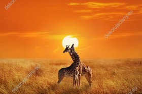 Wzornik obrazu w widokiem na parę żyraf w Parku Narodowym Serengeti o w pięknej scenerii zachodzącego słońca w Tanzanii. Obraz do pokoju dziennego, dziecięcego, młodzieżowego, sypialni, salonu, biura, gabinetu, przedpokoju i jadalni.