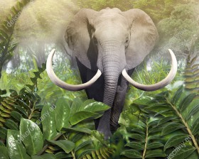 Wzornik obrazu z widokiem na dużego słonia afrykańskiego idącego przez zieloną dżunglę. Obraz do pokoju dziennego, dziecięcego, młodzieżowego, sypialni, salonu, biura, gabinetu, przedpokoju i jadalni.