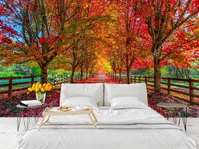 Wizualizacja fototapety z aurą jesienna. Aleja czerwonych drzew ładnie prezentuje się na ścianie sypialni, salonu, przedpokoju, biura. Dedykowana do małych pomieszczeń, gdyż optycznie powiększa pomieszczenie.