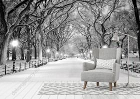 Wizualizacja fototapety w zimowej scenerii przedstawiająca aleje w Central Parku pokrytą śniegiem, USA. Fototapeta do pokoju dziennego, sypialni, salonu, biura, gabinetu, przedpokoju i jadalni.