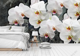 Wizualizacja fototapety z efektem 3D przedstawia gałązkę białych kwiatów orchidei na abstrakcyjnym tle. Fototapeta do pokoju dziennego, młodzieżowego, sypialni, salonu, biura, gabinetu, przedpokoju i jadalni.