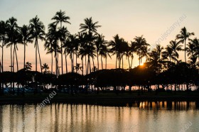 Wzornik obrazu palm odbijających się w wodzie o zachodzie słońca. Obraz będzie pięknie wyglądał w salonie, gabinecie, sypialni. Mijesce  Hawaje, USA.
