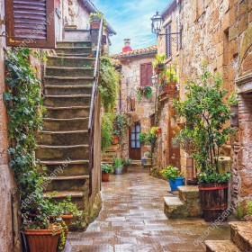 Wzornik obrazu z widokiem na spokojną uliczkę ozdobioną zielonymi roślinami w starym mieście w Toskanii we Włoszech. Obraz do pokoju dziennego, sypialni, salonu, biura, gabinetu, przedpokoju i jadalni.
