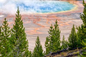 Wzornik obrazu z widokiem na gorące źródła oraz zielone rośliny w Parku Narodowym Yellowstone w USA. Obraz do pokoju dziennego, biura, salonu, sypialni, gabinetu, przedpokoju i jadalni.