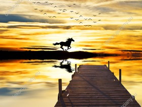 Wzornik obrazu z widokiem na konia galopującego w wodzie, w złotym świetle wschodzącego słońca. Obraz do pokoju dziennego, sypialni, salonu, biura, gabinetu, przedpokoju i jadalni.