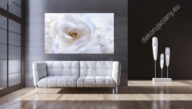Wizualizacja obrazu do pokoju dziennego, sypialni, salonu, biura, gabinetu, przedpokoju i jadalni przedstawia piękną, białą różę.