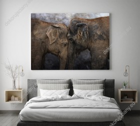 Wizualizacja obrazu w widokiem na parę słoni stykających się głowami. Obraz do pokoju dziennego, dziecięcego, młodzieżowego, sypialni, salonu, biura, gabinetu, przedpokoju i jadalni.