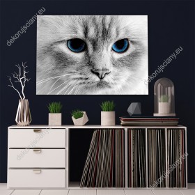Wizualizacja obrazu z widokiem na białego kota o pięknych niebieskich oczach. Obraz do pokoju dziennego, dziecięcego, młodzieżowego, sypialni, salonu, biura, gabinetu, przedpokoju i jadalni.