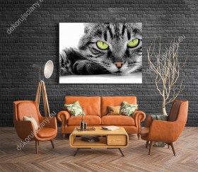 Wizualizacja obrazu przedstawia pięknego kota o niezwykłych zielonych oczach. Obraz do pokoju dziennego, dziecięcego, młodzieżowego, sypialni, salonu, biura, gabinetu, przedpokoju i jadalni.