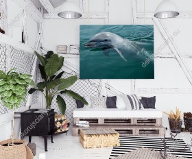 Wizualizacja obrazu w widokiem na przyjaznego delfina pływającego w lazurowej wodzie. Obraz do pokoju dziennego, dziecięcego, młodzieżowego, sypialni, salonu, biura, gabinetu, przedpokoju i jadalni.