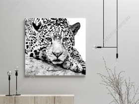 Wizualizacja, czarno-biały obraz do pokoju dziennego, dziecięcego, młodzieżowego, sypialni, salonu, biura, gabinetu, przedpokoju i jadalni z jaguarem, jednym z dzikich kotów Afryki.