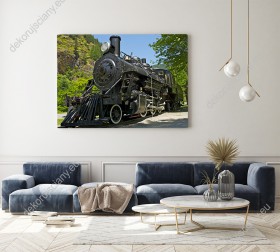 Wizualizacja obrazu z widokiem na lokomotywę parową przeznaczona jest do pokoju młodzieżowego, salonu, sypialni, biura.