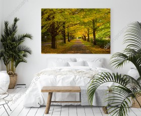 Wizualizacja obrazu w jesiennej aurze przedstawia aleję prowadzącą między drzewami z barwnymi, jesiennymi liśćmi. Obraz do pokoju dziennego, sypialni, salonu, biura, gabinetu, przedpokoju i jadalni.