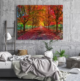 Wizualizacja obrazu z aurą jesienną. Aleja czerwonych drzew ładnie prezentuje się na ścianie sypialni, przedpokoju, salonu, biura.