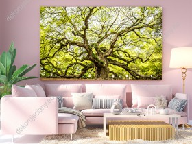 Wizualizacja obrazu przedstawiający majestatyczne, zielone drzewo zwane Anielskim dębem rosnące w Południowej Karolinie w USA. Obraz do pokoju dziennego, sypialni, salonu, biura, gabinetu, przedpokoju i jadalni.