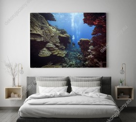 Wizualizacja obrazu przedstawia nurka głębinowego badającego dno Morza Czerwonego. Obraz do pokoju dziennego, sypialni, salonu, biura, gabinetu, przedpokoju i jadalni.