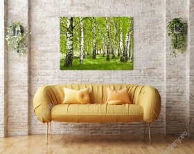 Wizualizacja obrazu motywem wiosennego, zielonego lasu brzozowego będzie pięknie wyglądała w sypialni, salonie, pokoju dziennym, gabinecie i jadalni.