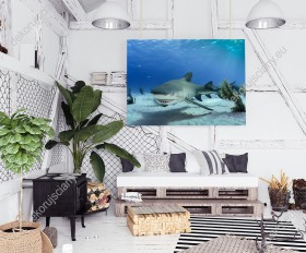 Wizualizacja obrazu ze motywem świata podwodnego przedstawia rekina odpoczywającego w głębiach oceanu. Obraz do pokoju dziennego, młodzieżowego, biura, salonu, sypialni, gabinetu, przedpokoju i jadalni.