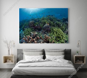 Wizualizacja obrazu rafy koralowej z wód w Indonezji. Obraz na ścianę do pokoju dziennego, salonu, sypialni, biura, gabinetu, przedpokoju.
