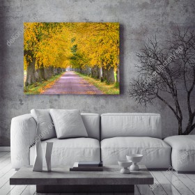 Wizualizacja obrazu z jesienną aurą przedstawiająca ścieżkę prowadzącą przez aleję złoto zabarwionych drzew. Obraz do pokoju dziennego, salonu, sypialni, gabinetu, biura, przedpokoju i jadalni.