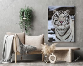 Wizualizacja obrazu do pokoju dziennego, dziecięcego, młodzieżowego, salonu, sypialni, przedpokoju, biura z widokiem majestatycznego, białego tygrysa bengalskiego w zimowej scenerii.