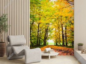 Wizualizacja fototapety z widokiem jesiennego lasu klonowego. Fototapeta przeznaczona do sypialni, salony, biura, gabinetu, pokoju młodzieżowego.