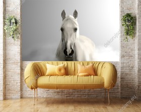 Wizualizacja fototapety do pokoju dziennego, dziecięcego, młodzieżowego, sypialni, salonu, biura z białym koniem, na szarym zamglonym tle.