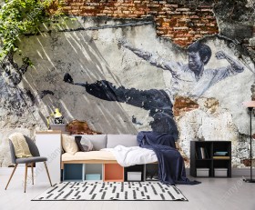 Wizualizacja fototapety przestawia mural ze wschodnią sztuką walki. Fototapeta do pokoju młodzieżowego, salonu, sypialni.